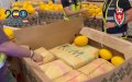 Golpe al narco : Incautan 11 toneladas de hachís en Málaga y Algeciras