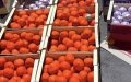 Golpe al narcotráfico : Incautan 4 toneladas de hachís ocultas en naranjas en el puerto de Tánger