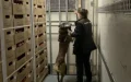 Guardia Civil incauta 300 kilos de hachís en Motril : Perro detector frustra contrabando marroquí