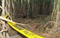 Hallazgo trágico en Chichaoua : Joven sin identificar encontrado muerto en carretera