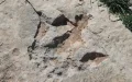 Huellas jurásicas revelan ecosistema de dinosaurios en el Atlas marroquí