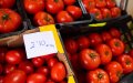 "Invasión de tomates saharauis : El acuerdo UE-Marruecos amenaza al campo español"