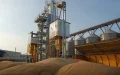 Kazajistán elige Marruecos para almacenar su trigo y venderlo en toda África