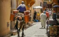 Marrakech, Fez y Agadir : Los destinos marroquíes que conquistan a los viajeros franceses en 2025