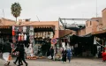 Marrakech : el fraude filmado de un falso guía se convierte en un fiasco