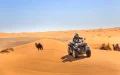 Marrakech y Merzouga registran una gran afluencia para Año Nuevo : las reservas alcanzan niveles récord
