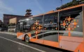 Marrakech moderniza su transporte : 81 nuevos autobuses revolucionarán la movilidad urbana
