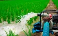 En Marruecos, los agricultores serán vigilados ahora hasta en sus bombeos de agua