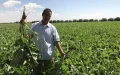 Marruecos apuesta por la desalinización : El futuro del riego agrícola ante la sequía