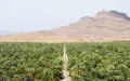 Marruecos y Argelia carecen de agua, pero no en absoluto de la misma manera