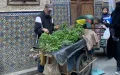 Marruecos : El auge imparable del comercio ambulante desafía las políticas urbanas