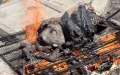 Marruecos : El carbón se dispara antes del Aïd al-Adha y alarma a los consumidores