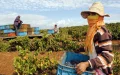 Marruecos e Israel sellan alianza agrícola : Innovación y sostenibilidad en el Magreb