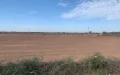 Marruecos : Una empresa inmobiliaria lleva al Ministerio del Interior ante los jueces
