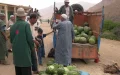 Marruecos enfrenta crisis hídrica : Activistas exigen prohibir el cultivo de sandía