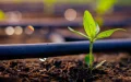 Marruecos y Francia : Alianza millonaria para liderar la revolución energética europea