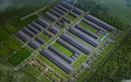 Marruecos impulsa la revolución eléctrica : Gotion inicia gigafábrica de baterías en Kénitra