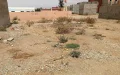 Marruecos intensifica la presión fiscal : Laftit ordena cobro agresivo de impuestos sobre terrenos baldíos