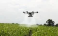 Marruecos invierte 185.000 euros en drones para controlar el cultivo legal de cannabis