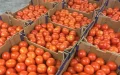 Marruecos lanza plan millonario para subvencionar tomates, cebollas y patatas ante crisis inflacionaria