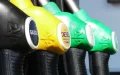 Marruecos : La lenta caída de los precios del combustible frente al mercado global