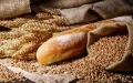 Marruecos lidera la importación de trigo francés : 50.000 toneladas desde Rouen