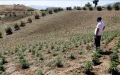 Falso secuestro en Marruecos : Mujer inventa tortura para encubrir adulterio y enfrenta cargos