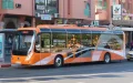 Marruecos moderniza su transporte : 7.000 autobuses para el Mundial 2030
