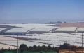 Marruecos : El nuevo gigante agrícola que florece con raíces españolas