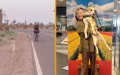 Marruecos : Una perra siguió a unos turistas durante 80 kilómetros y encontró refugio en el Reino Unido