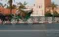 Marruecos Quiere Cambiar el Suelo de Sus Ciudades