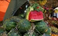 Marruecos regula el cultivo de sandía : equilibrio entre economía y recursos hídricos