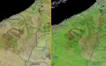 Marruecos reverdece : Satélites de la NASA captan la transformación del paisaje tras las lluvias