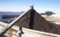 Marruecos revoluciona el sector energético : del aceite de oliva al combustible limpio