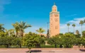 Marruecos se rebela : La polémica guerra contra las palmeras urbanas