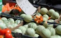 Marruecos supera a Francia en exportación de melones : el nuevo mapa global del mercado