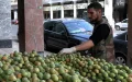 Marruecos : la tuna se convierte en un producto de lujo