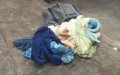 Milagro en Ain Chkef : Rescatan a recién nacido abandonado en bosque marroquí