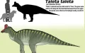 Nuevo dinosaurio marroquí desafía teorías de aislamiento continental en el Cretácico
