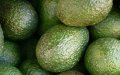 Ola de calor arrasa cultivos de aguacate en Marruecos : producción cae un 25%