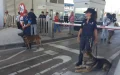 Operación Minerva : Frontex refuerza la vigilancia en puertos españoles ante el éxodo estival marroquí