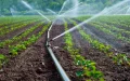 Operación nocturna en Marruecos : Desmantelan red de robo masivo de agua de riego