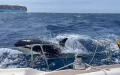Orcas hunden velero en Gibraltar : Ataque sin precedentes cerca de Tánger-Med