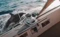 Orcas vs Pescadores : Marruecos investiga el misterioso fenómeno marino