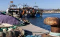 La pesca española se desploma y Marruecos se beneficia : « Las reglas no son las mismas »
