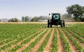 Pesticidas prohibidos en Europa vendidos en Marruecos