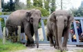 Polémica en Casablanca : El zoológico reabre con precios que indignan a los ciudadanos