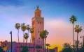 La polémica expansión de palmeras en Marruecos : ¿Belleza urbana o desastre ecológico ?