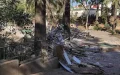 Polémica en Fez : Derriban histórico café del Jardín Rex por plan de restaurante