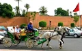 Polémica en Marrakech : La icónica plaza Jemaa El-Fna se reinventa sin carruajes